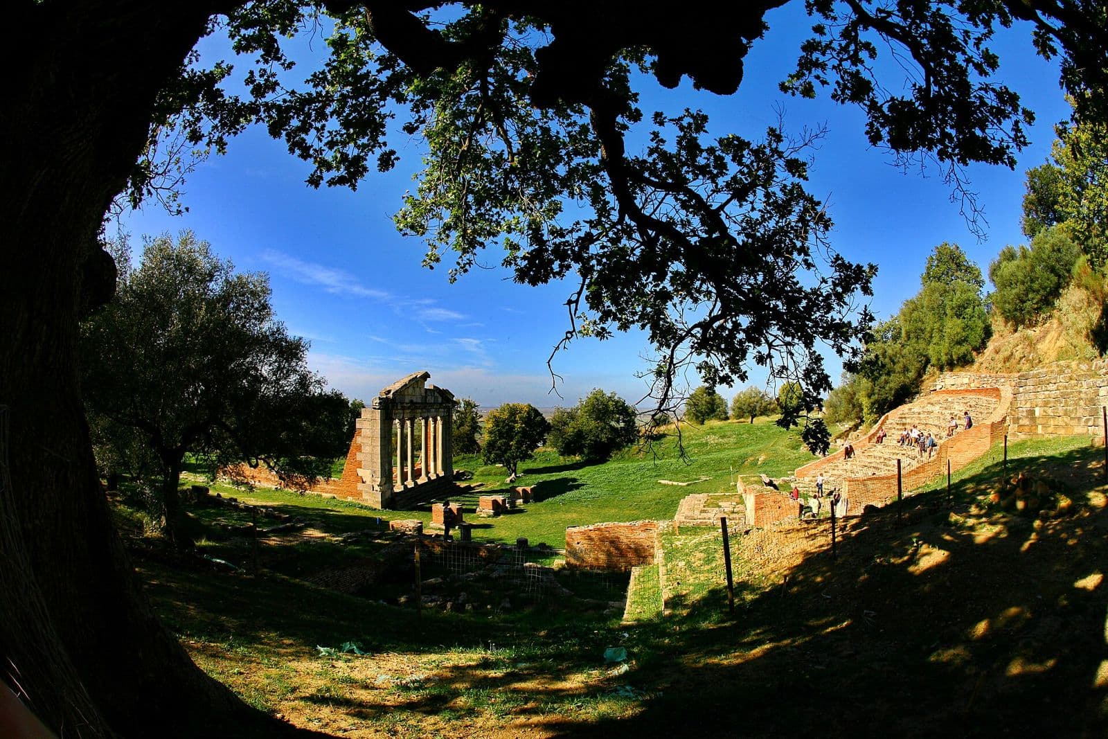 Apollonia