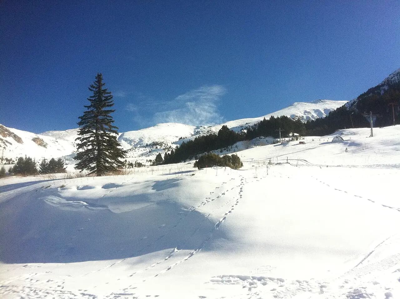 Brezovica - Qender Skijimi