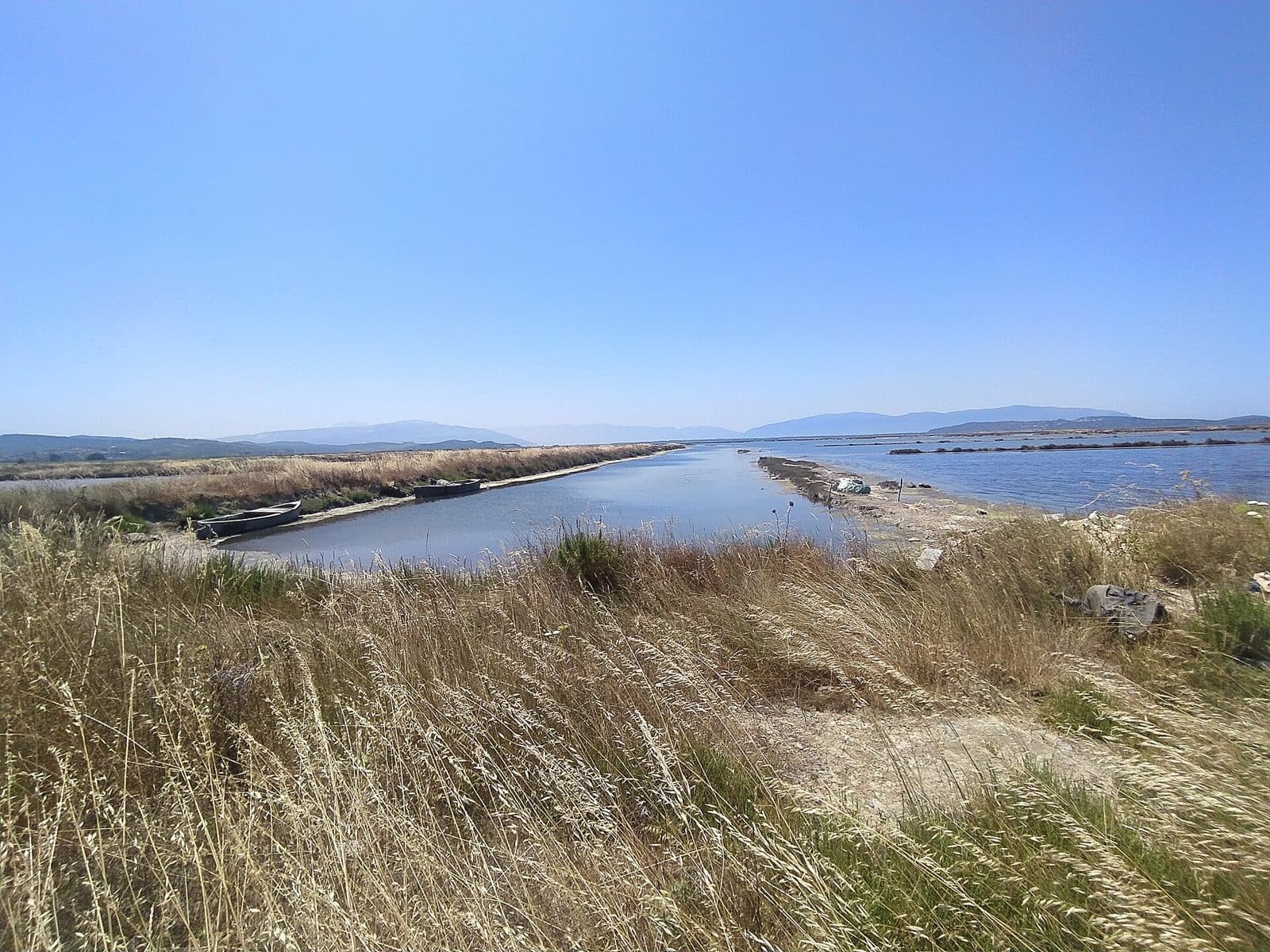 Salt marsh at the Narta Lagoon