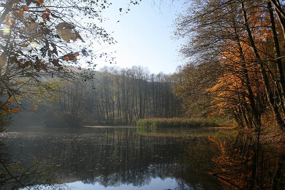 Parku i Blinajës (Lipjan)