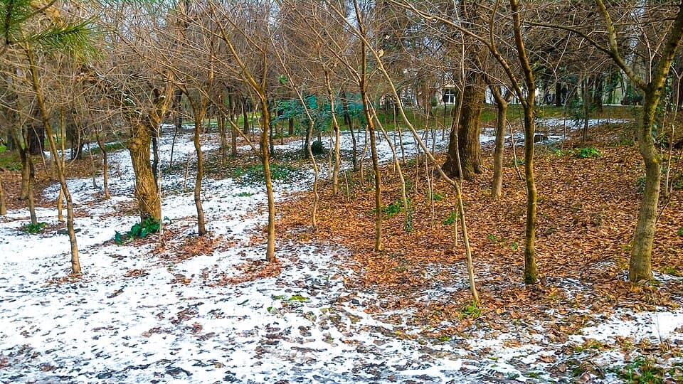 Grand Park & Artificial Lake